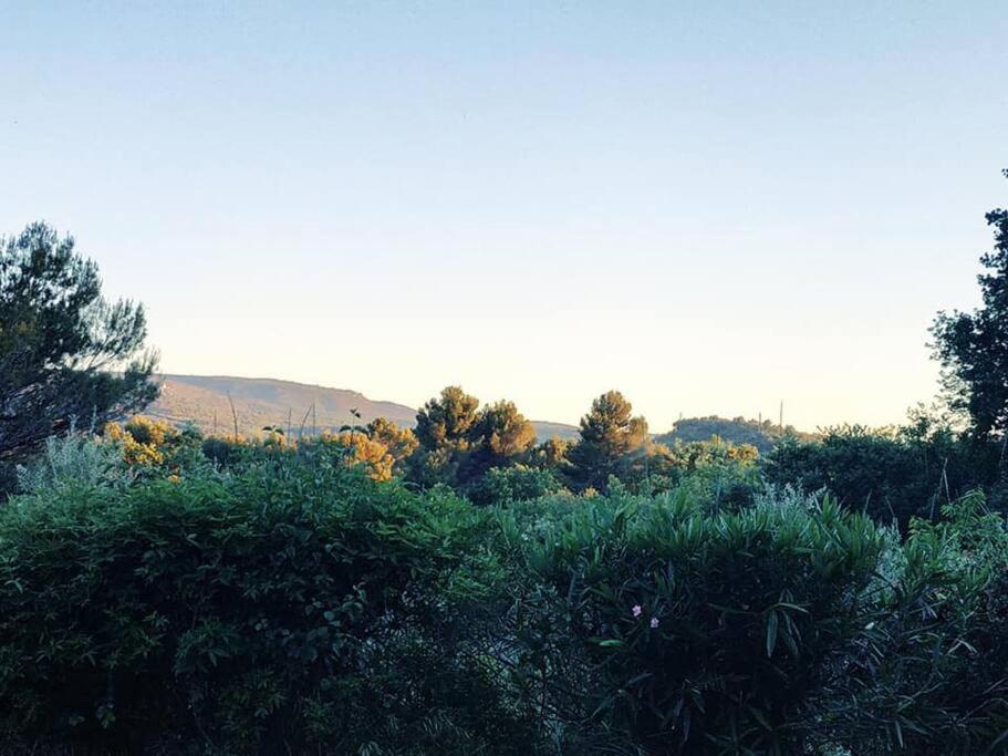 Entre Ventoux Et Luberon, Appartement Dans Maison. Malemort-du-Comtat Kültér fotó