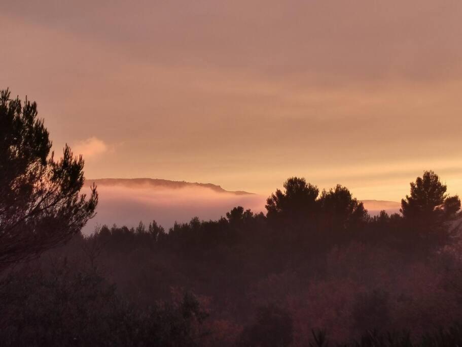 Entre Ventoux Et Luberon, Appartement Dans Maison. Malemort-du-Comtat Kültér fotó