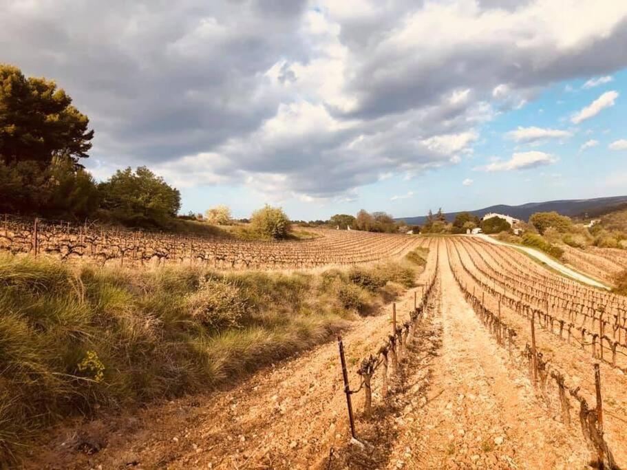 Entre Ventoux Et Luberon, Appartement Dans Maison. Malemort-du-Comtat Kültér fotó