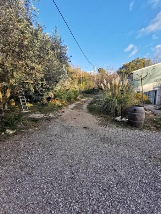 Entre Ventoux Et Luberon, Appartement Dans Maison. Malemort-du-Comtat Kültér fotó